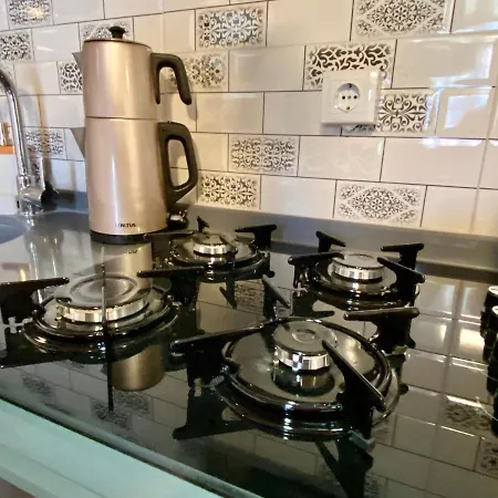 Old Town Famous Aparts *